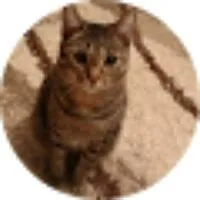 Відгук клієнта Діма Міцевич про Poligrafika.com.ua