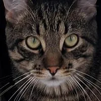 Отзыв клиента Oleg о Poligrafika.com.ua