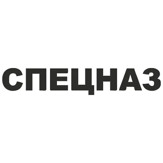 Виниловая наклейка «СПЕЦНАЗ» — патриотическая наклейка на автомобиль