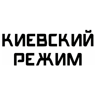 Виниловая наклейка на авто ВСУ «Киевский режим»