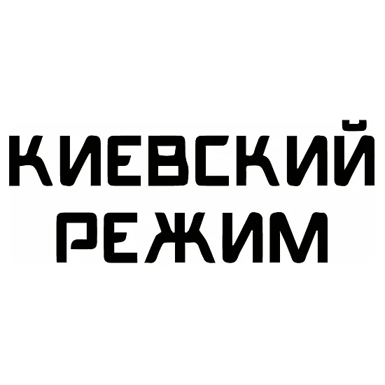 Виниловая наклейка на авто ВСУ «Киевский режим»