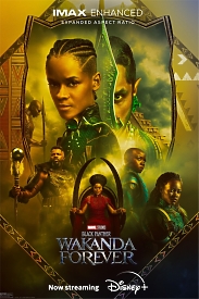 Купити арт-постер "Чорна пантера: Ваканда назавжди" - яскравий зелений дизайн з улюбленими персонажами